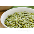 Pumpkin Seeds Kernel Wholesale